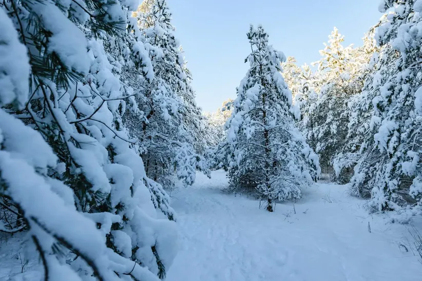 Latvia's winter wonderland