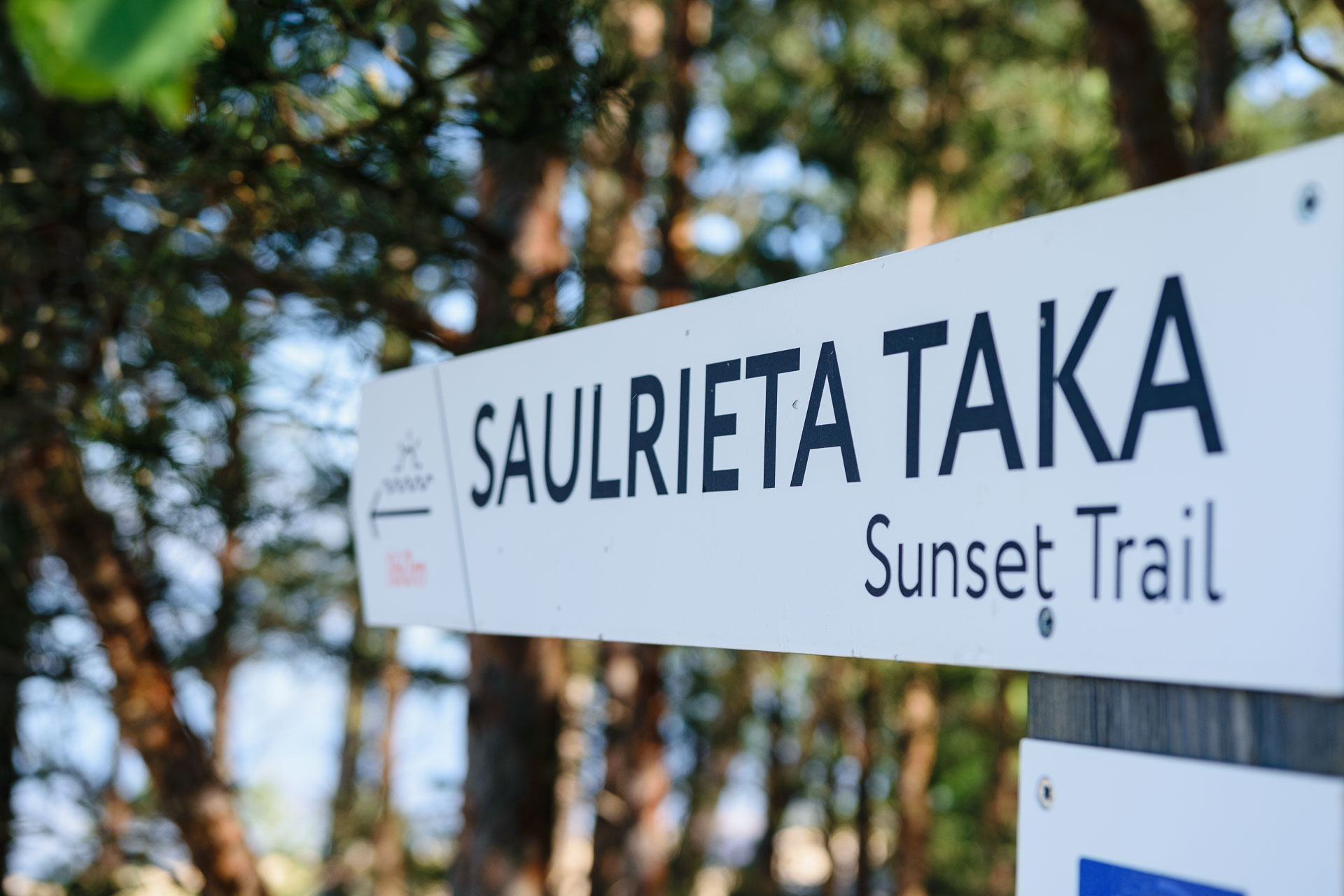 Riga to Tallinn Sightseeing Tour Along the Baltic Seaside