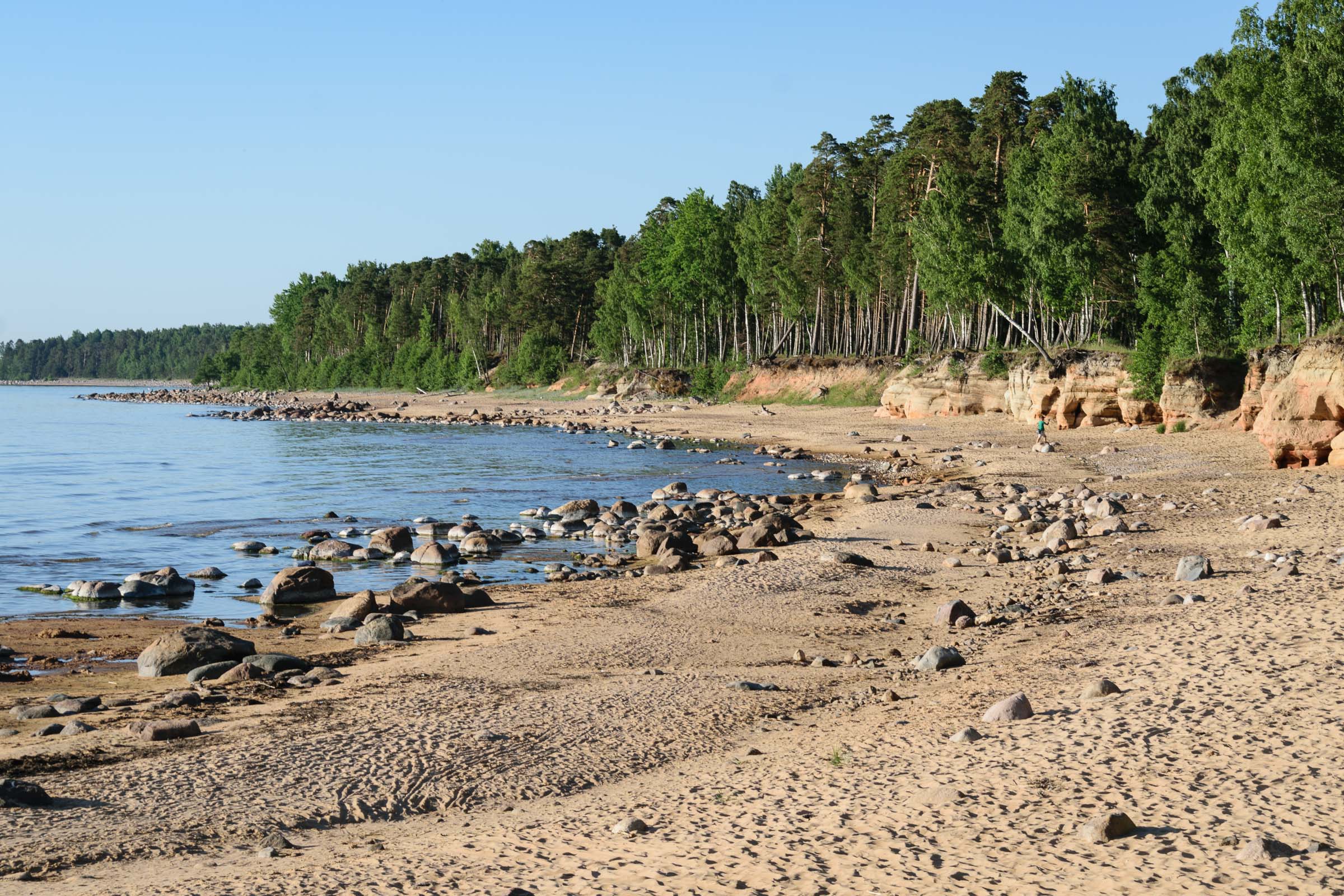 Riga to Tallinn Sightseeing Tour Along the Baltic Seaside